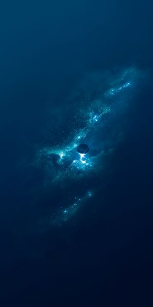 Wallpaper